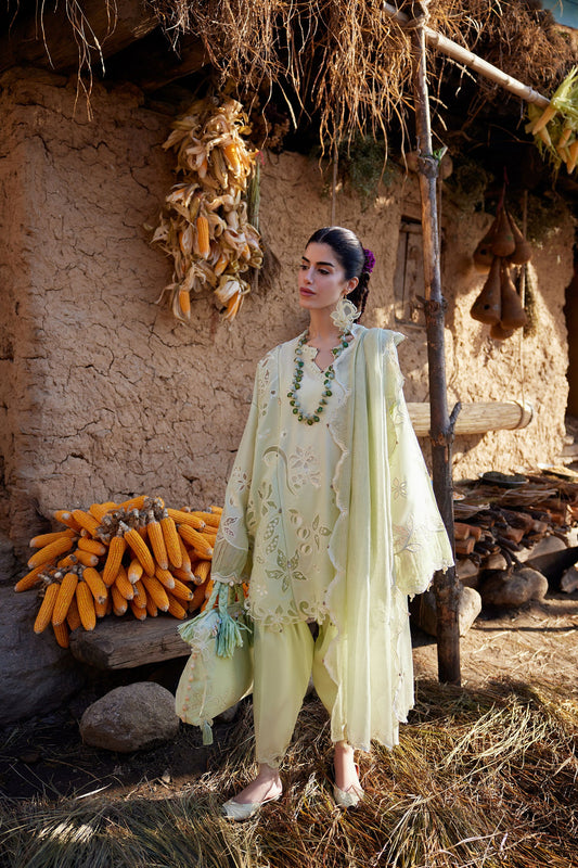 Meiti Zaha Lawn ‘26