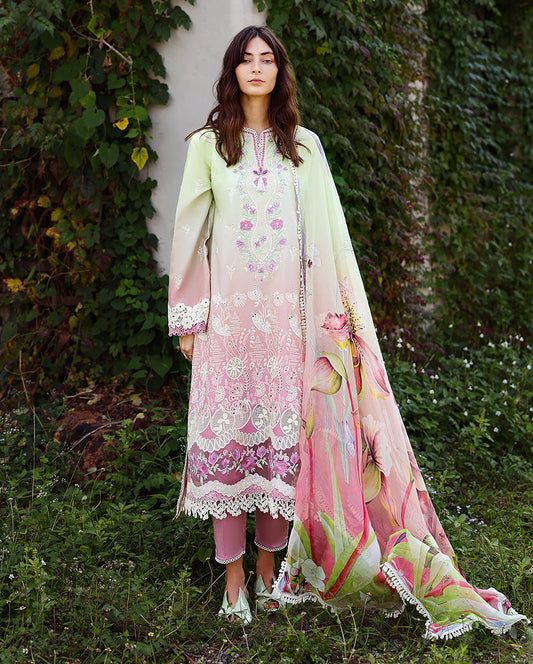 Solace | Ombre Chickenkari By Mushq