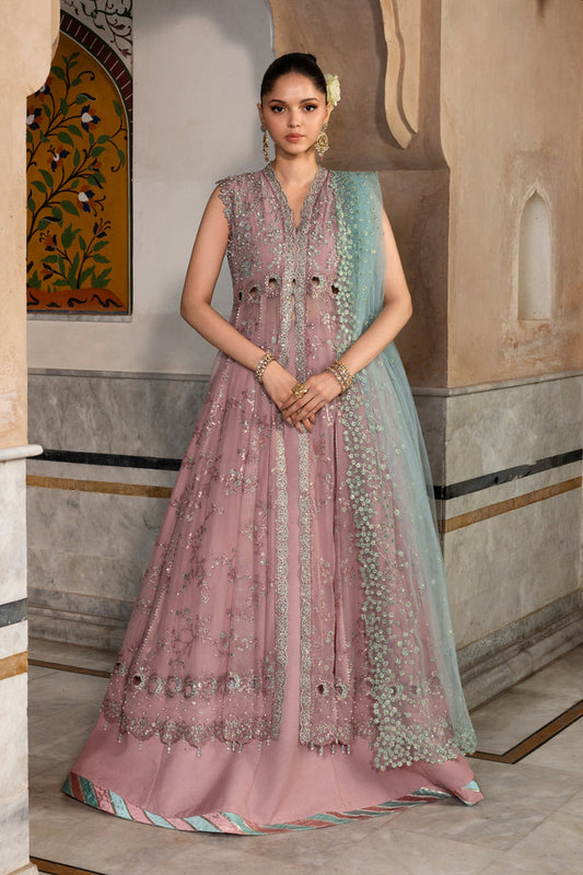 Chiffon Formals By Rang Rasiya