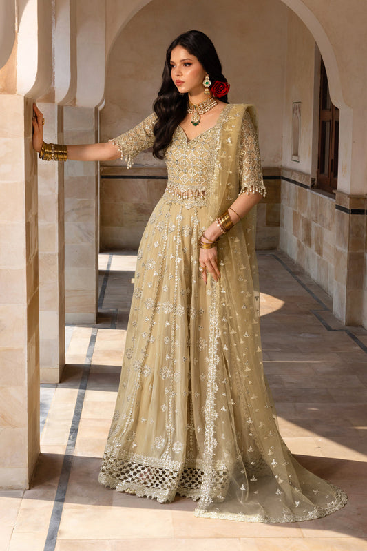 Chiffon Formals By Rang Rasiya