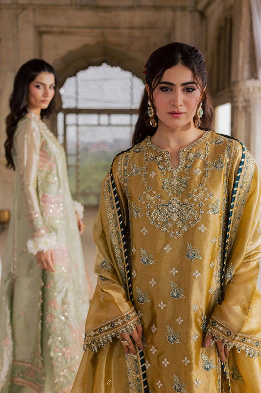Chatoyer Wedding Formals 26 By Rang Rasiya