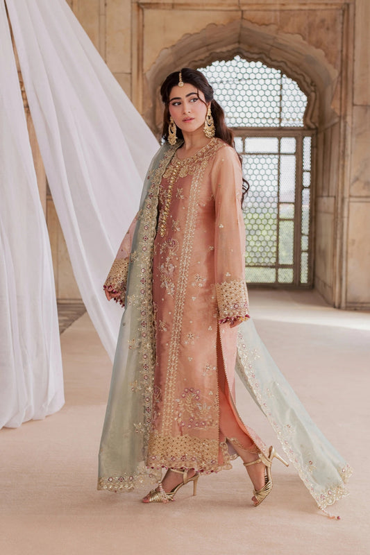 Chatoyer Wedding Formals 26 By Rang Rasiya