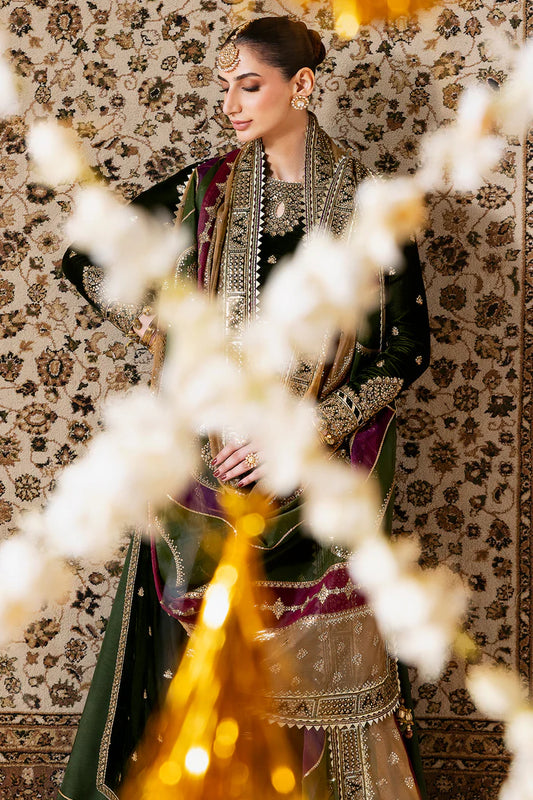 Chandani Velvet Formals by Jazmin