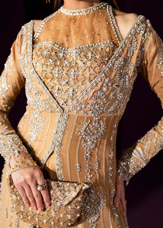 Elara Luxury Formals By Dastoor Collection