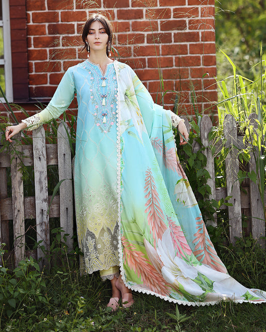Solace | Ombre Chickenkari By Mushq