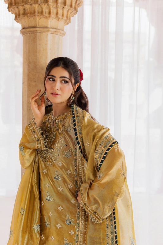 Chatoyer Wedding Formals 26 By Rang Rasiya