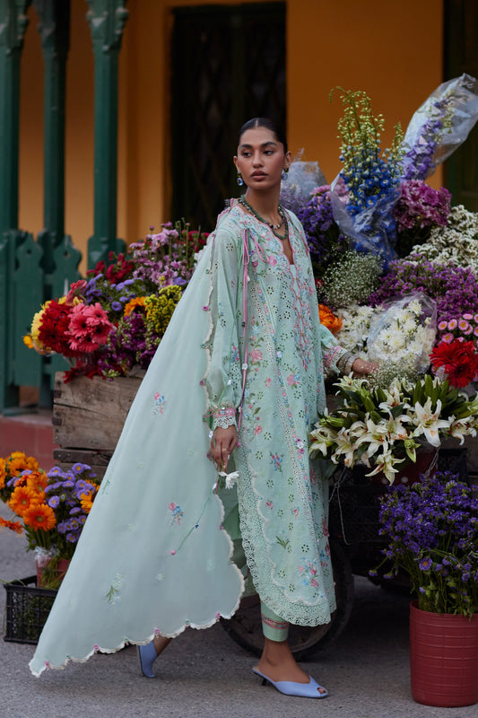 Zaha Festive Lawn'26 | Wildflower