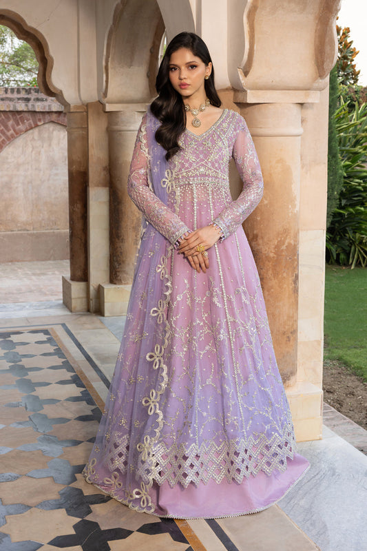 Chiffon Formals By Rang Rasiya