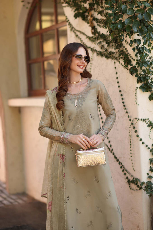 Noor Luxe Chikankari 2026