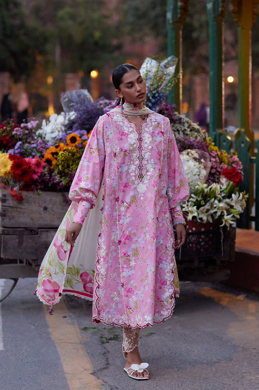 Zaha Festive Lawn'26 | Wildflower