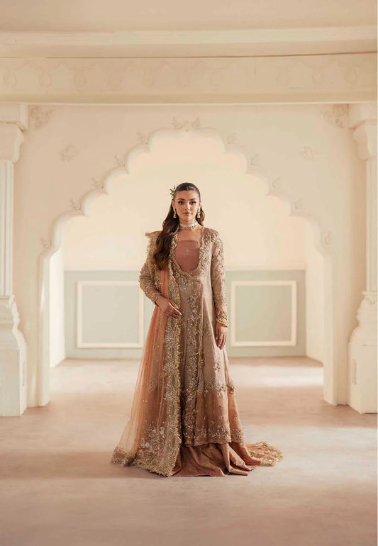 DILRUBA by Ayesha and Usman - Luxury Collection