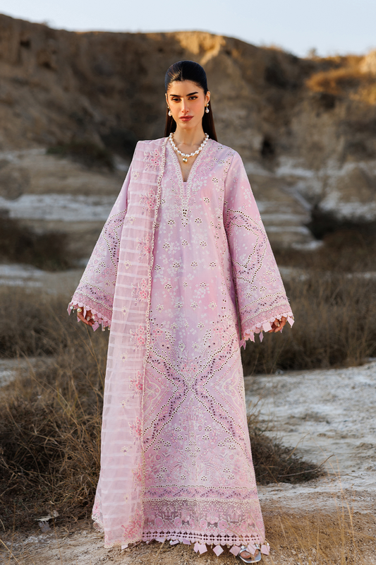 SUNLIT GROOVE BY EMAAN ADEEL