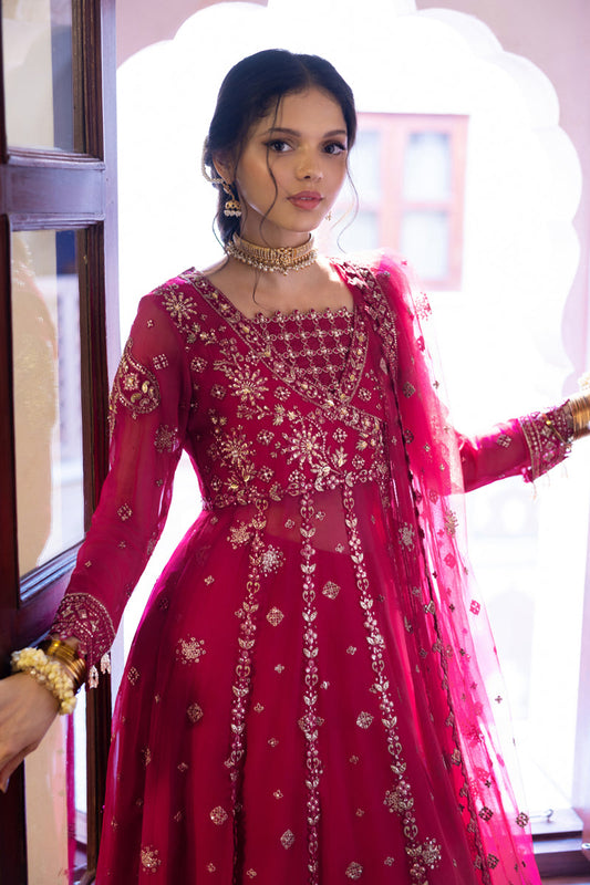 Chiffon Formals By Rang Rasiya