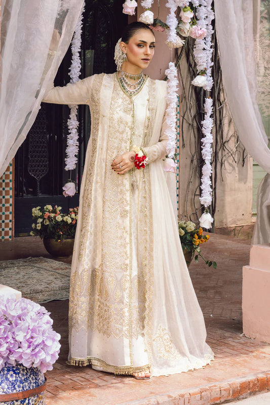Wedding Formals by Rang Rasiya - Nimir