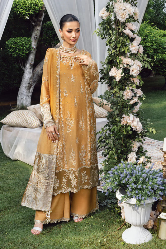 Wedding Formals by Rang Rasiya