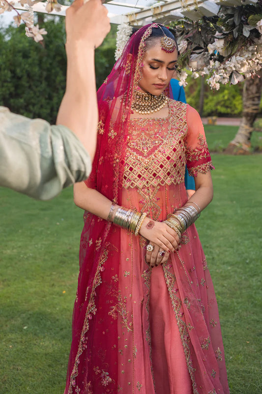Wedding Formals by Rang Rasiya