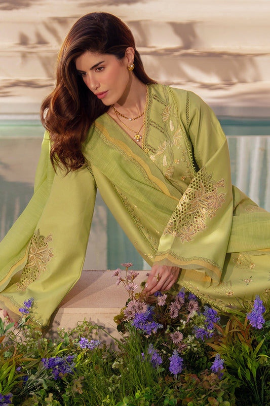 Luxury Eid Collection By rang Rasiya