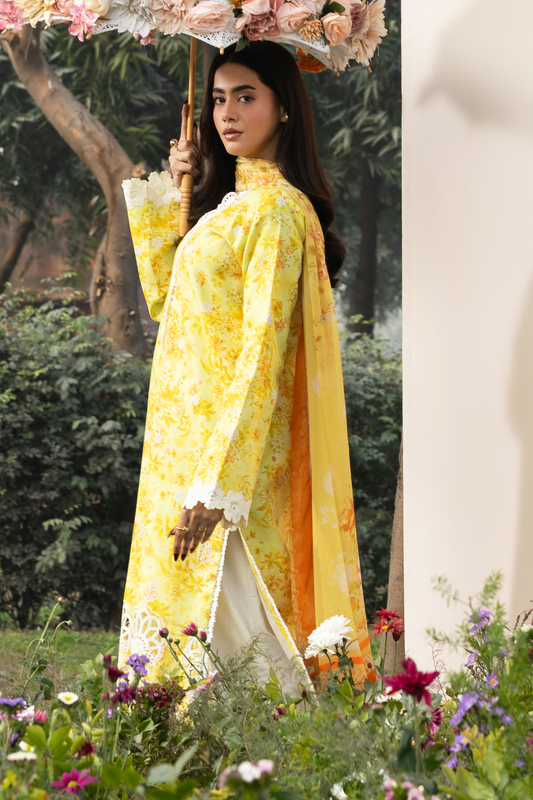 Raj Bari Summer Printkari Collection