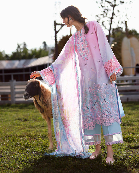 Solace | Ombre Chickenkari By Mushq