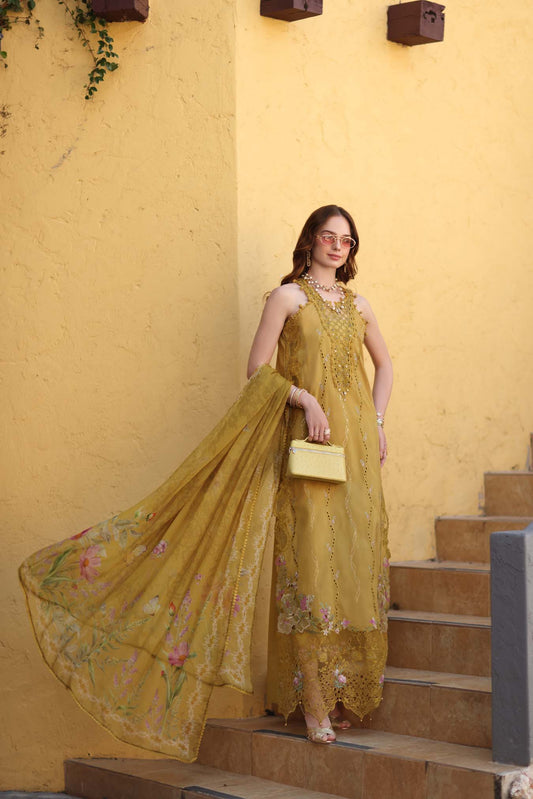Noor Luxe Chikankari 2026