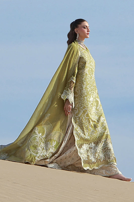 Premium Summer Collection '26 By Rang Rasiya