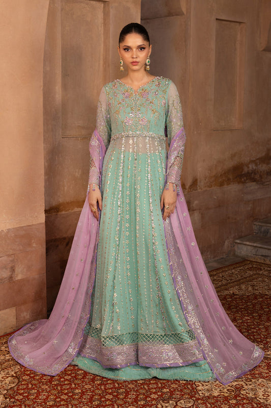Chiffon Formals By Rang Rasiya