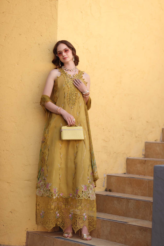 Noor Luxe Chikankari 2026