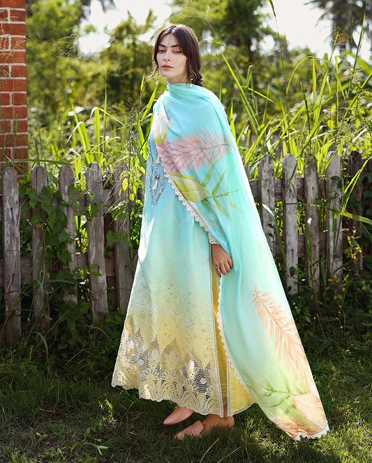 Solace | Ombre Chickenkari By Mushq