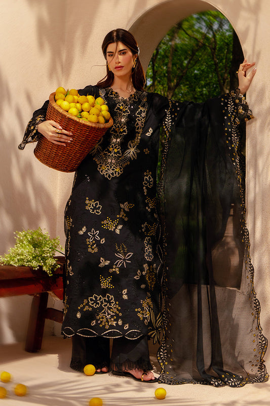 Luxury Eid Collection By rang Rasiya