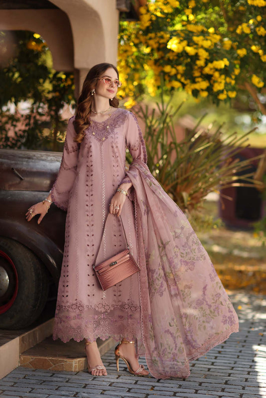 Noor Luxe Chikankari 2026