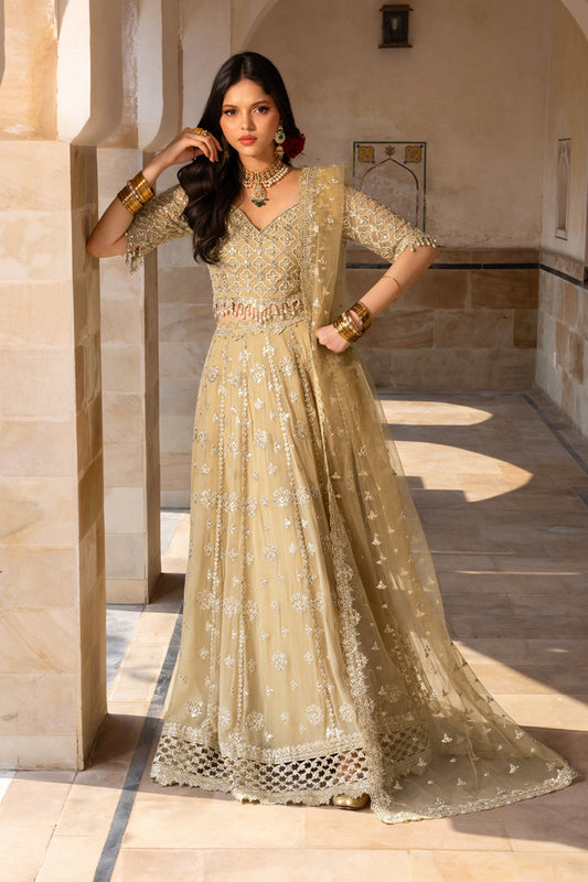 Chiffon Formals By Rang Rasiya