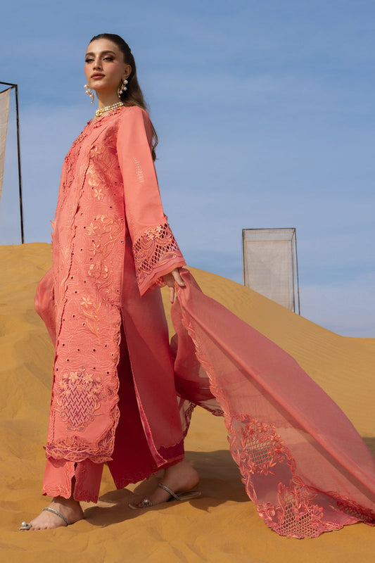 Premium Summer Collection '26 By Rang Rasiya