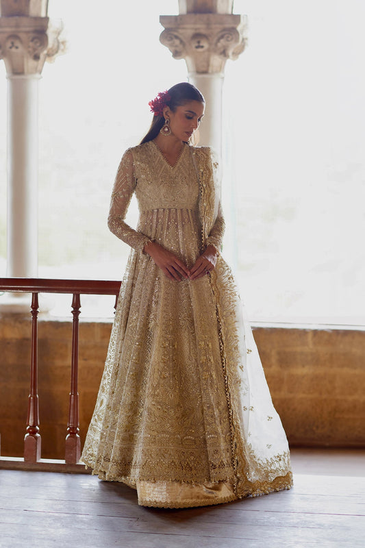Dastangoi '26 Wedding Formals By Afrozeh