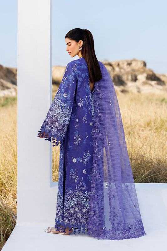 SUNLIT GROOVE BY EMAAN ADEEL
