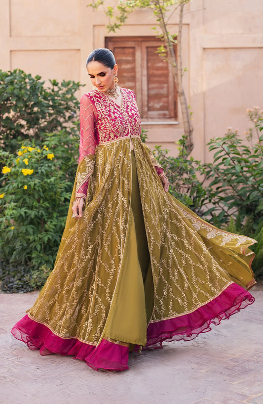 𝐒𝐀𝐇𝐈𝐁𝐀 Formals from Zarif
