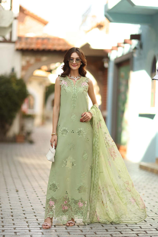 Noor Luxe Chikankari 2026