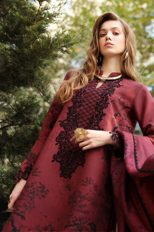 Lifestyle Winter Edit 2025 by Rang Rasiya 