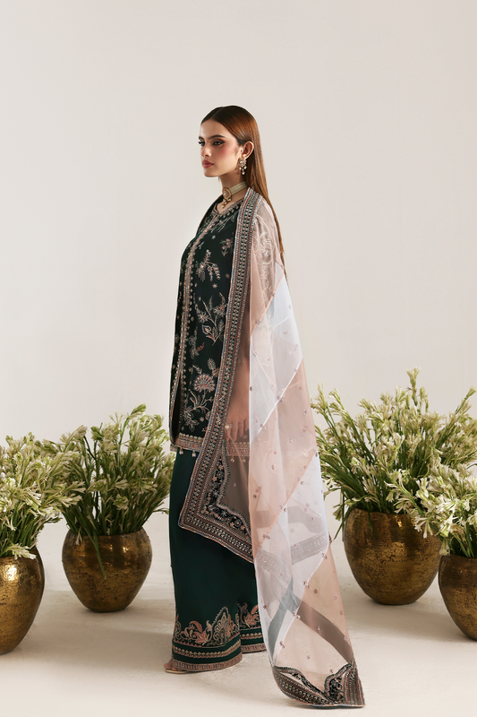 Zarposh Velvet Collection by Emaan Adeel