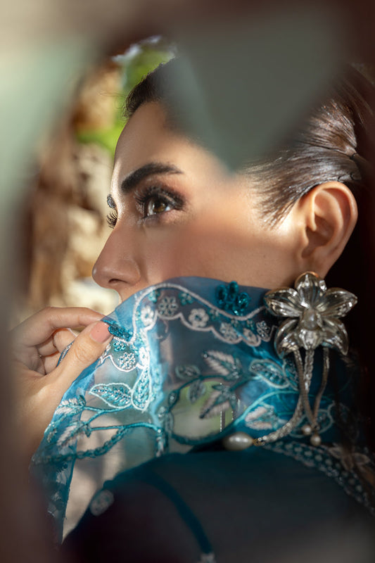 Luxury Chiffon By Qalamkar