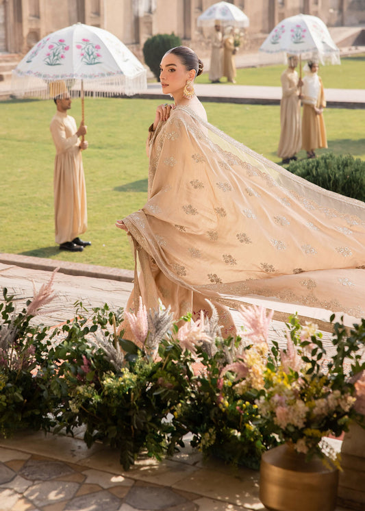 𝑨𝒍𝒎𝒂𝒓𝒊-𝒆-𝑵𝒂𝒂𝒛 – Formals by Zarizaa - CHANDAN