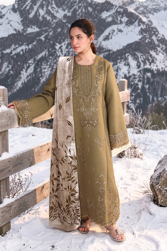 Winter Carnation 26 By Rang Rasiya